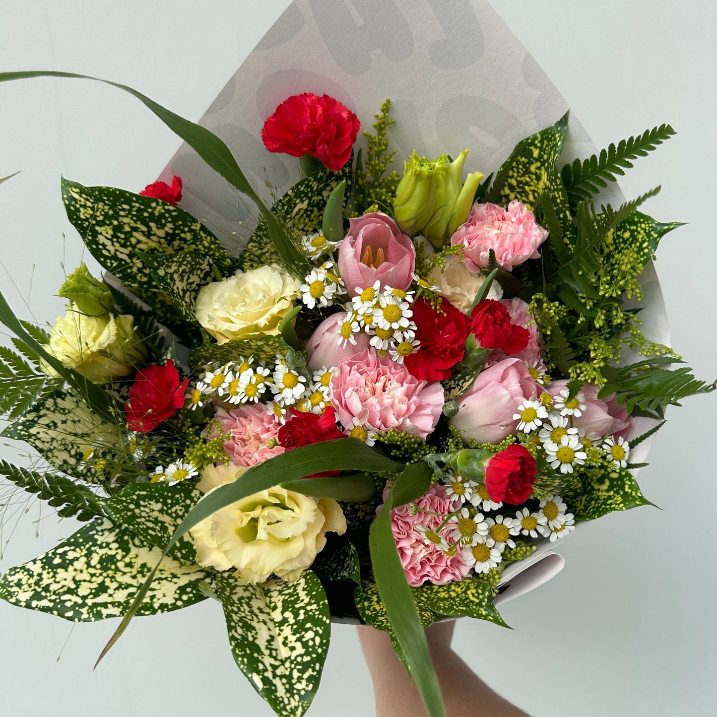 KB ISSUE #51 (30th Oct-5th Nov)