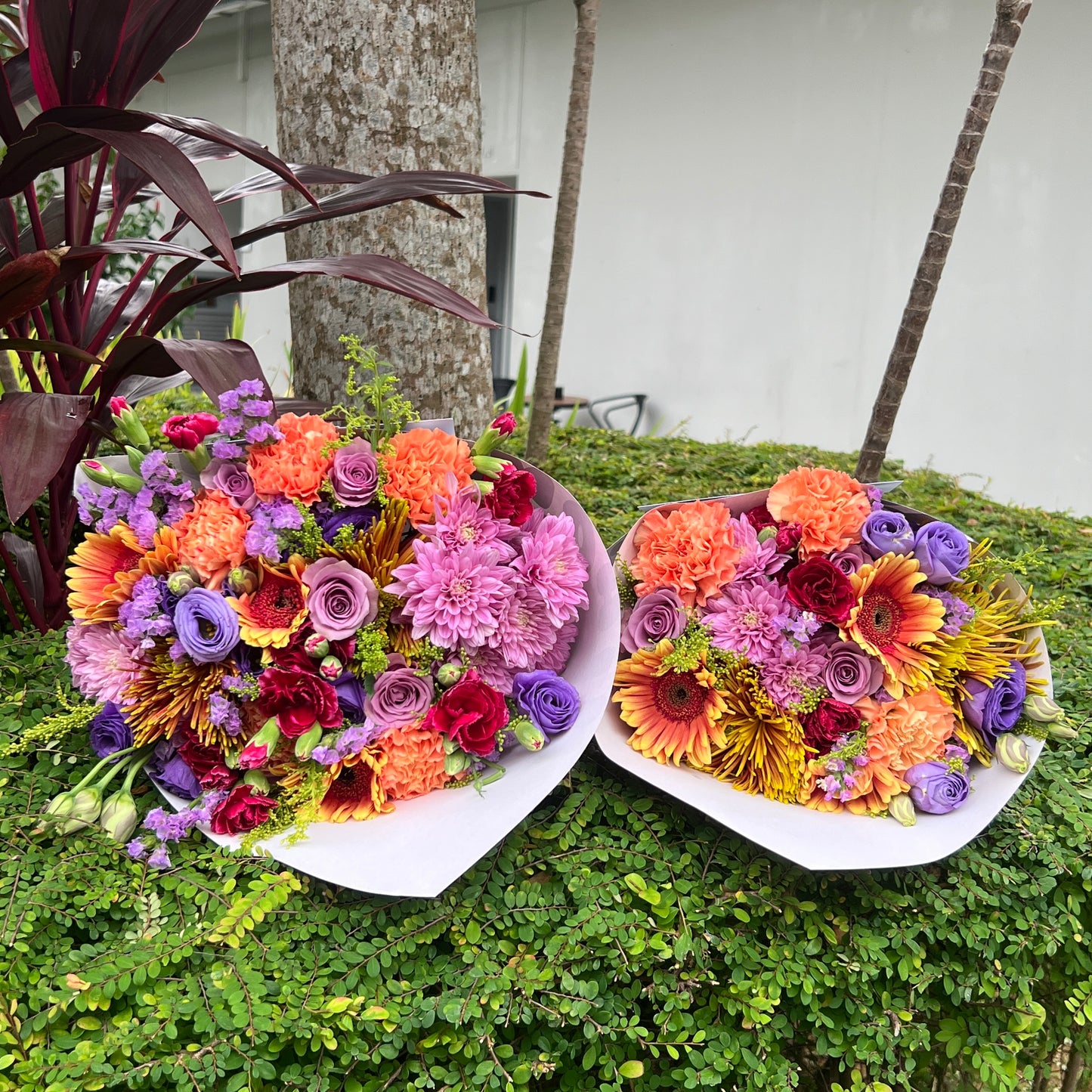 KB ISSUE #50 (23-29th Oct)