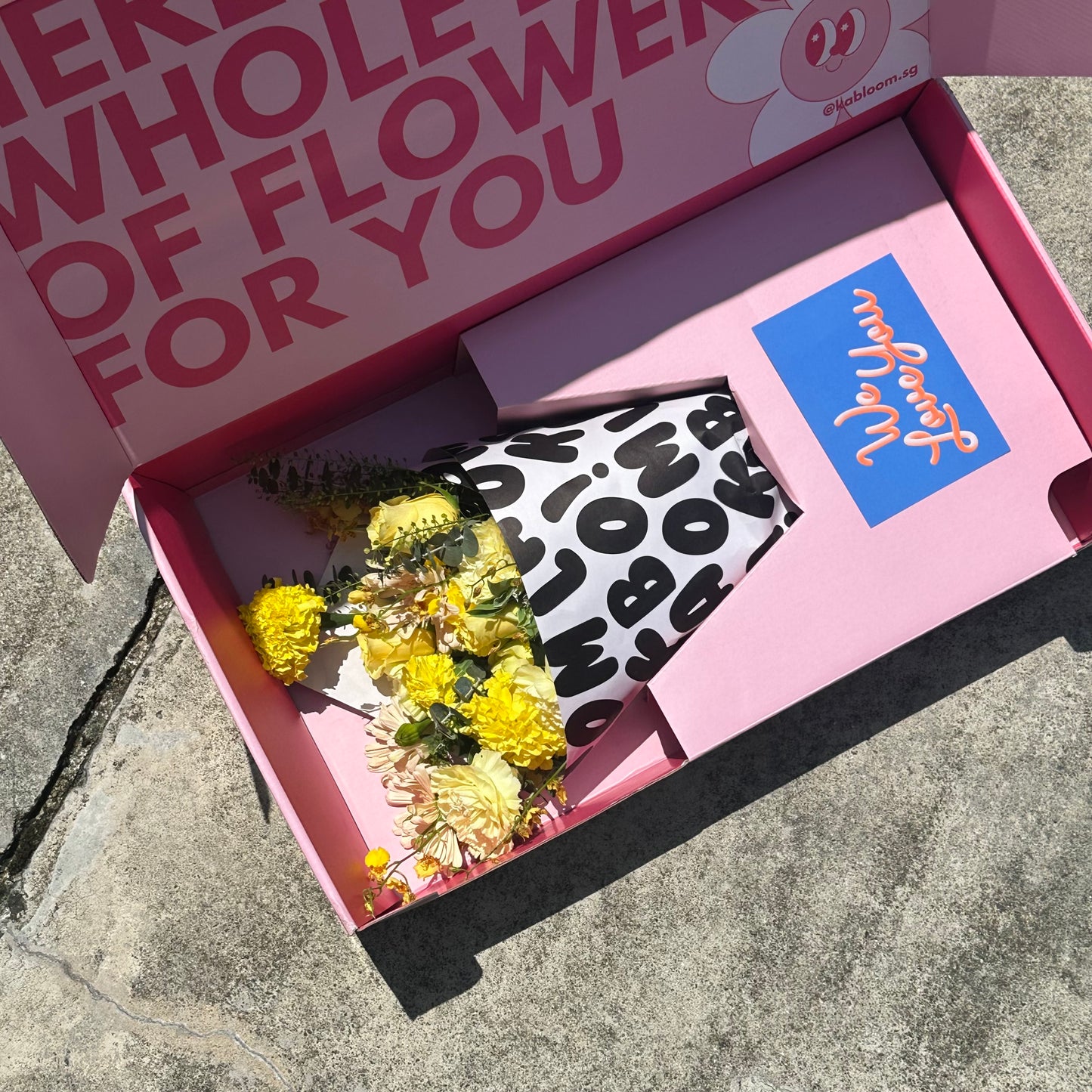 KB ISSUE #8 (27th-3rd July)